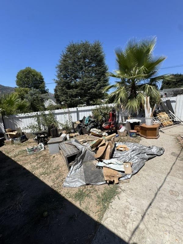 Storm debris haul-away, Yard debris after a storm