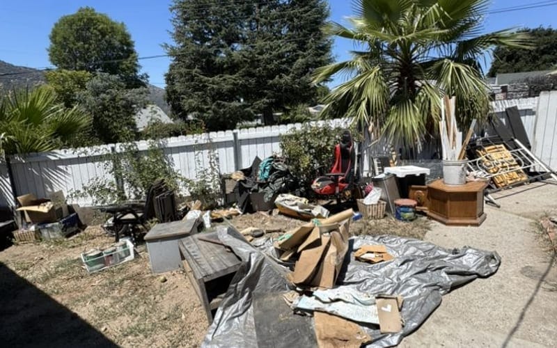 Hurricane Season Yard Debris: A Whole Season Cleanup Plan featured image