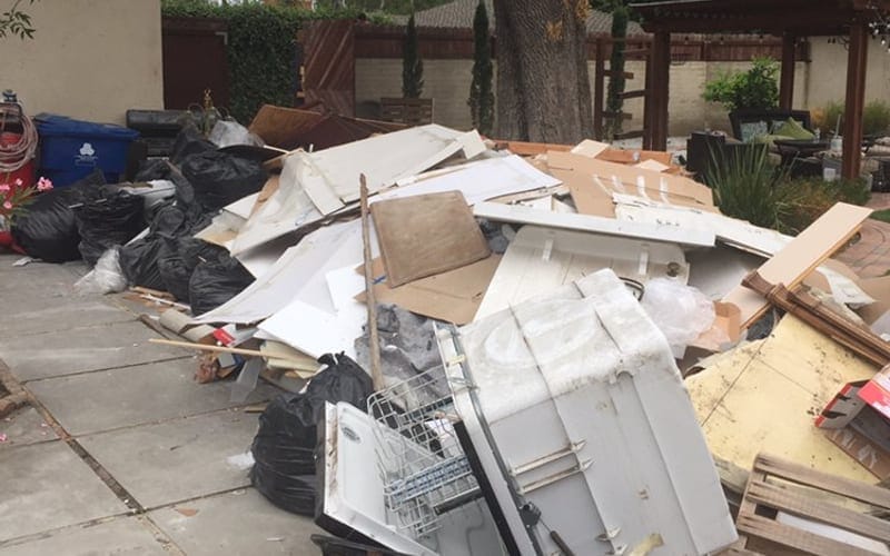 Yard and household debris piled under a tree for removal in Palm Bay