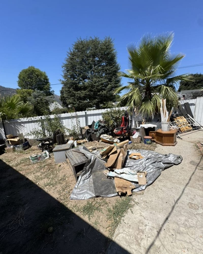 Palm fronds and cut branches collected for yard waste removal in Palm Bay, FL